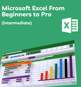 Microsoft Excel From Beginners to Pro