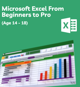 Microsoft Excel From Beginners to Pro