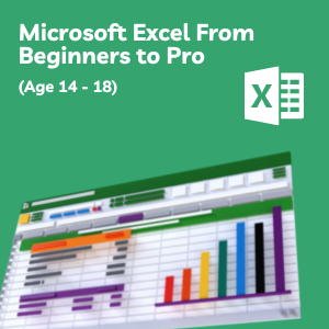 Microsoft Excel From Beginners to Pro